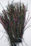 Nature's Spirit Peacock Strung Herl