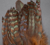 Grizzly Variant Schlappen