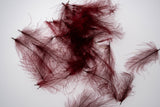 Nature's Spirit Cul de Canard (CDC) Feathers