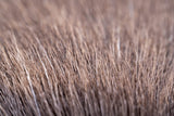 Nature's Spirit Caribou Hair