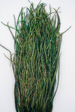 Nature's Spirit Peacock Strung Herl