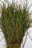 Nature's Spirit Peacock Strung Herl