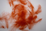Nature's Spirit Cul de Canard (CDC) Feathers