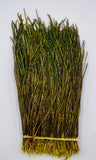 Nature's Spirit Peacock Strung Herl