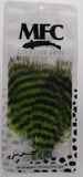 MFC Barred Marabou