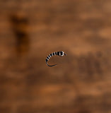 Zebra Midge Black